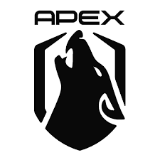 apex designs logo